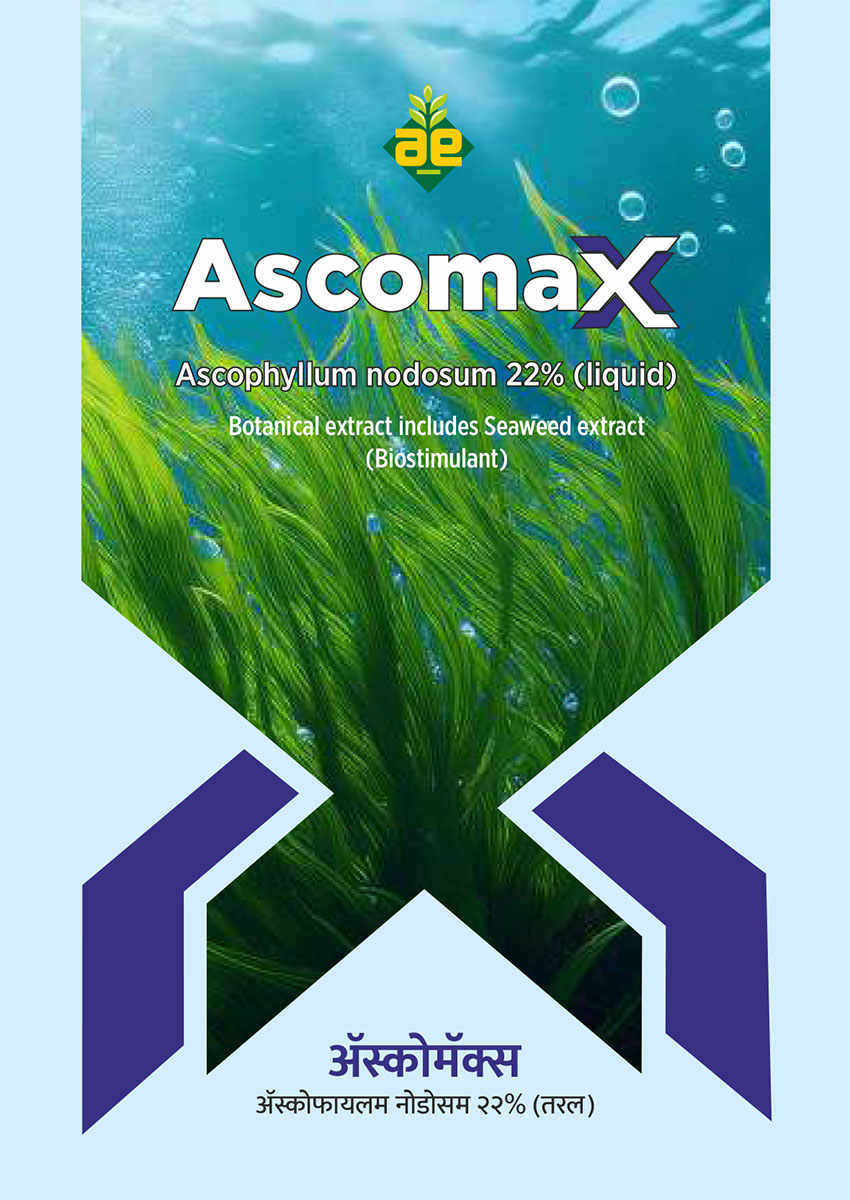 Ascomax Seaweed Extract Product Pack